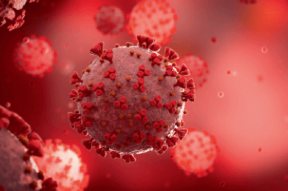 Les infections sexuellement transmissibles au temps de la Covid-19